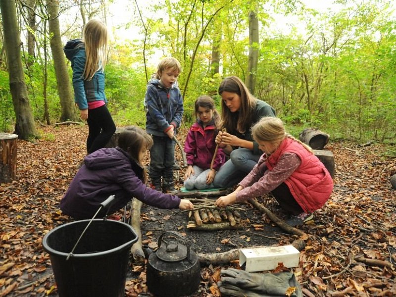 Forest school for home educated children